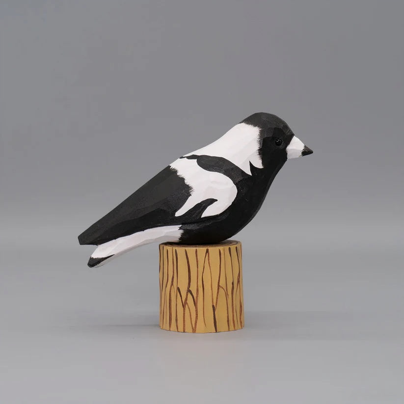 Australian Magpie+ Stand