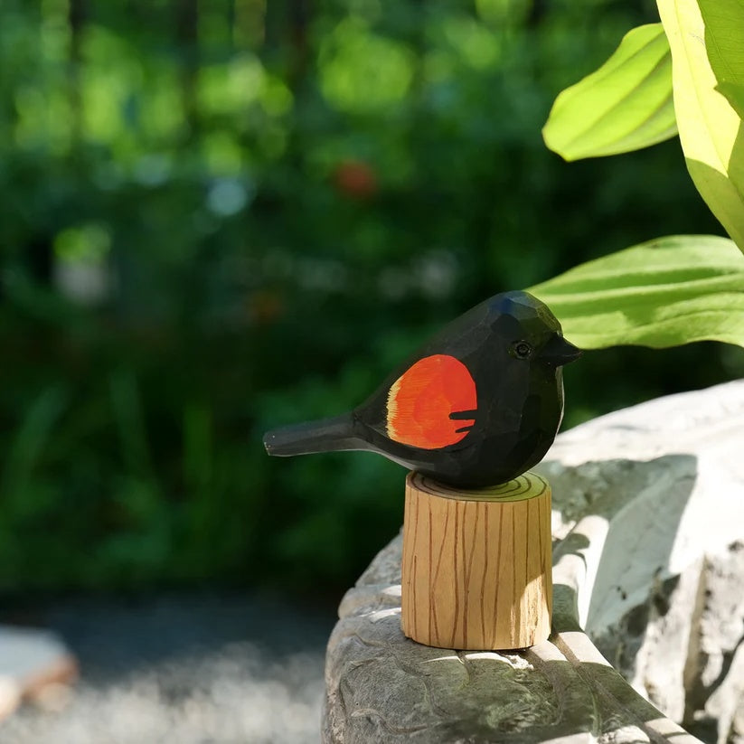 Red-Winged Blackbird
