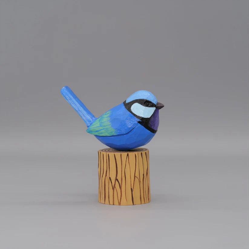 Splendid Fairywren