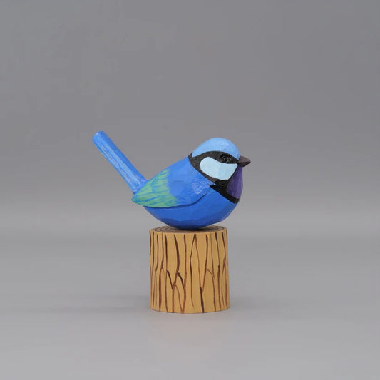 Splendid Fairywren