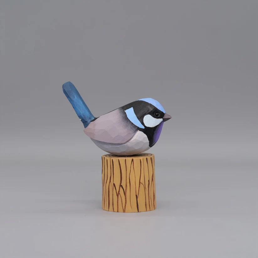 Superb Fairywren