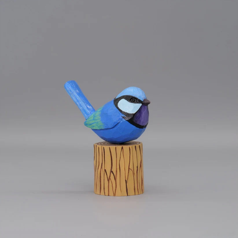 Splendid Fairywren
