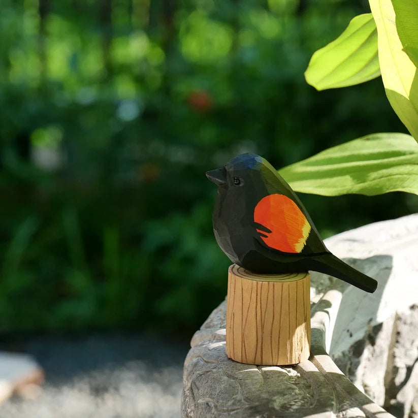 Red-Winged Blackbird
