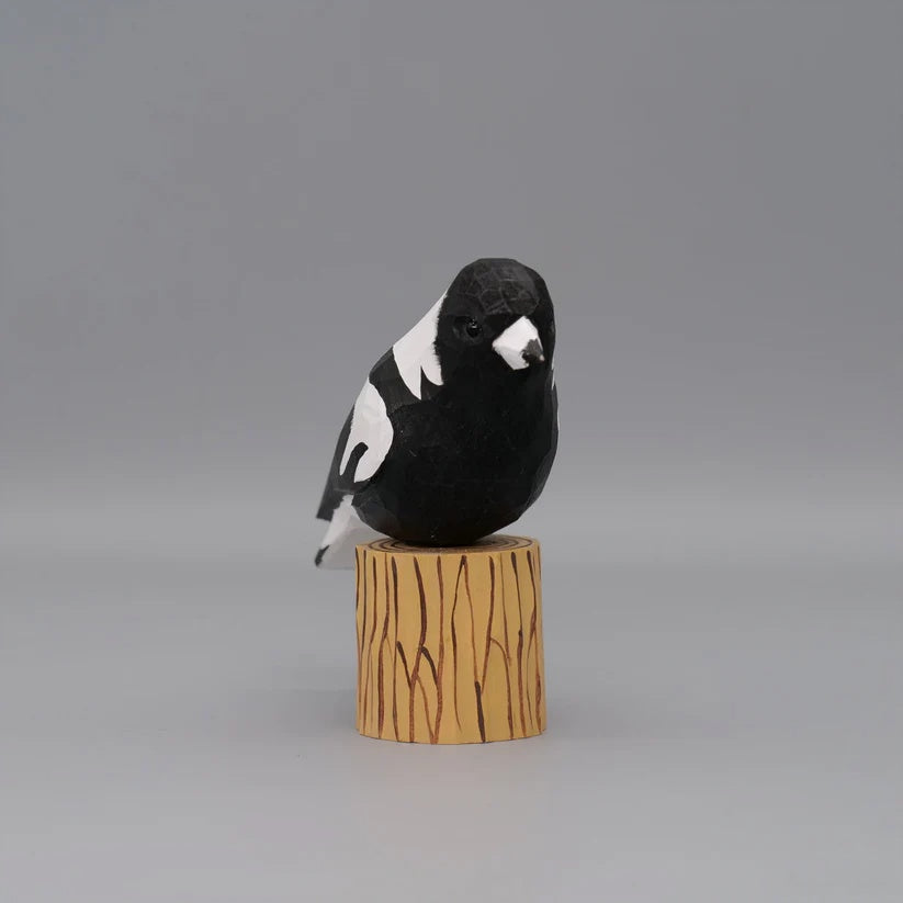 Australian Magpie+ Stand