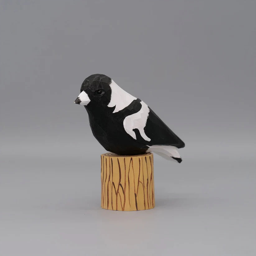 Australian Magpie+ Stand