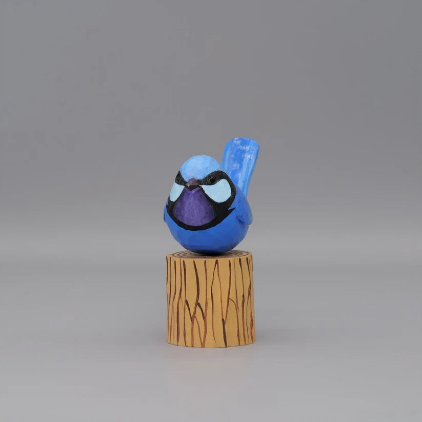 Splendid Fairywren