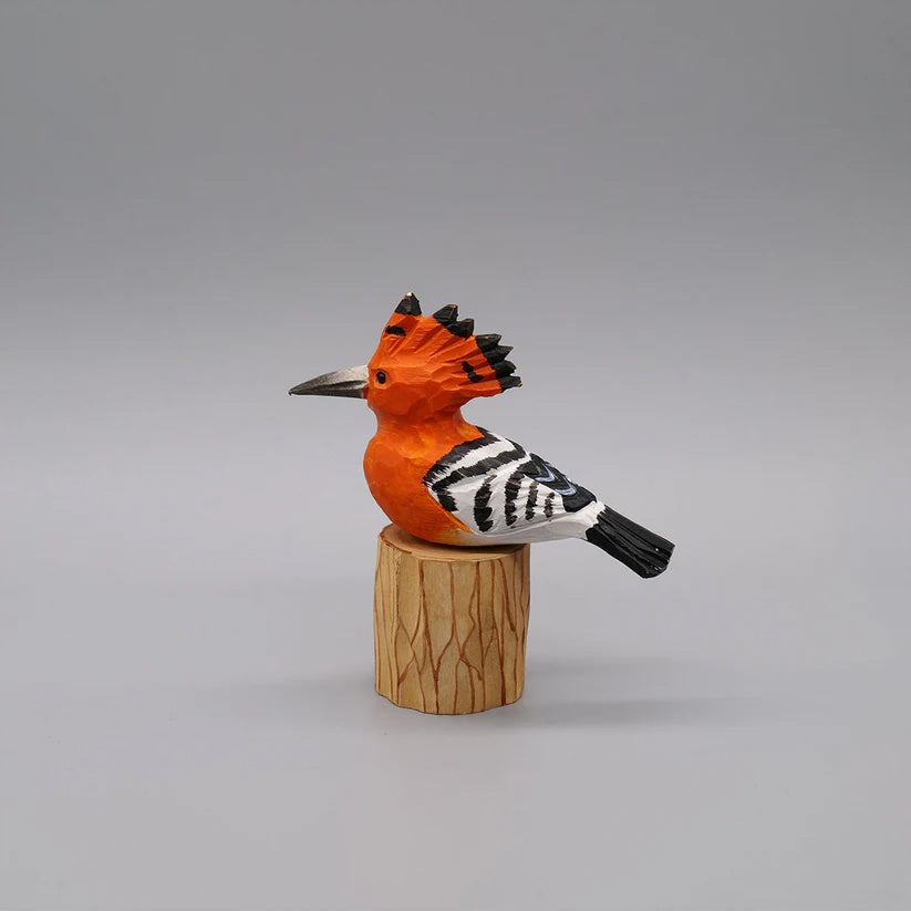Hoopoe