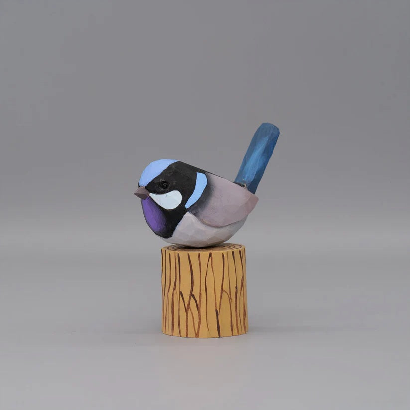 Superb Fairywren