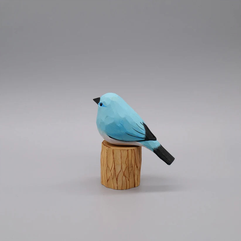Mountain Bluebird