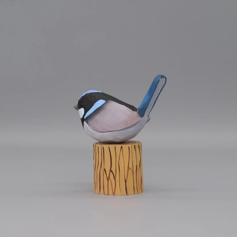 Superb Fairywren
