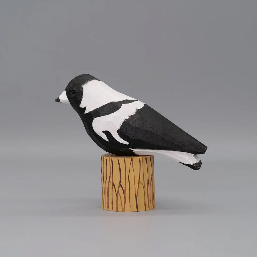 Australian Magpie+ Stand