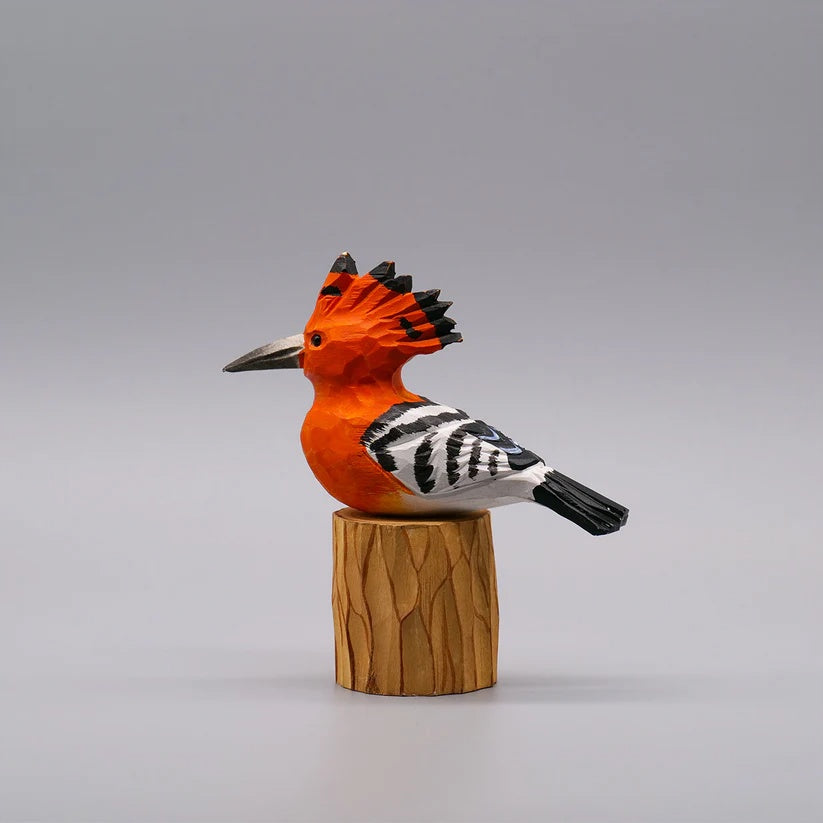 Hoopoe
