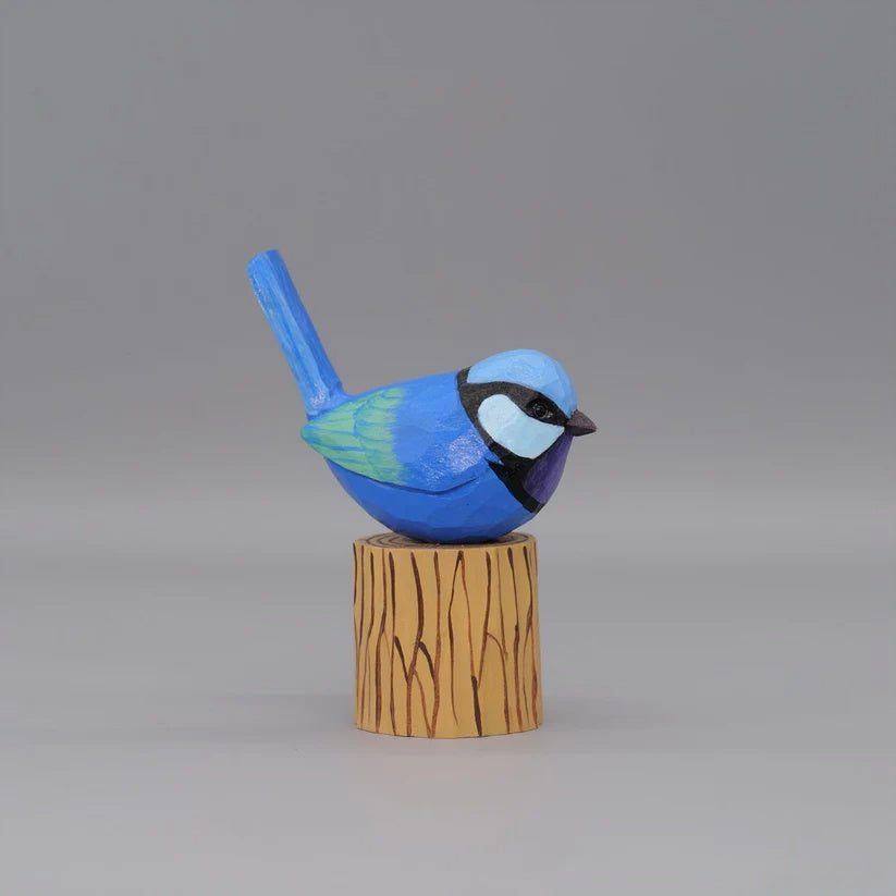 Splendid Fairywren