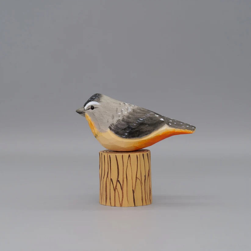 Spotted Pardalote