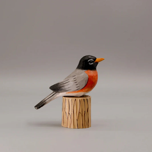 American Robin+ Stand