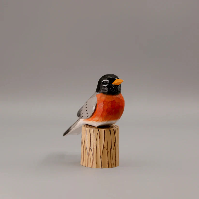 American Robin+ Stand