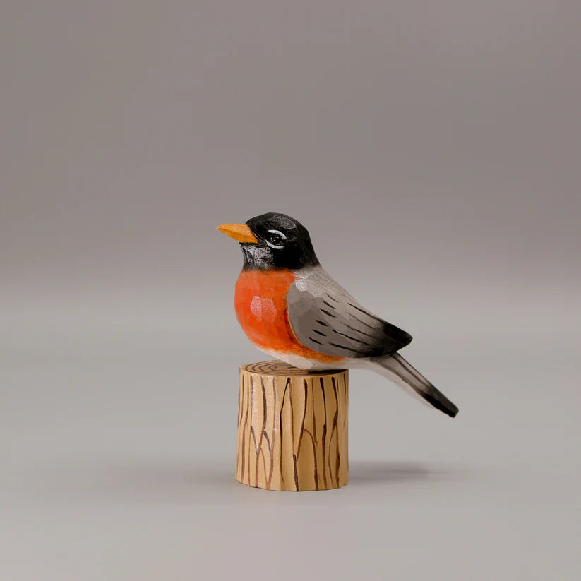 American Robin+ Stand