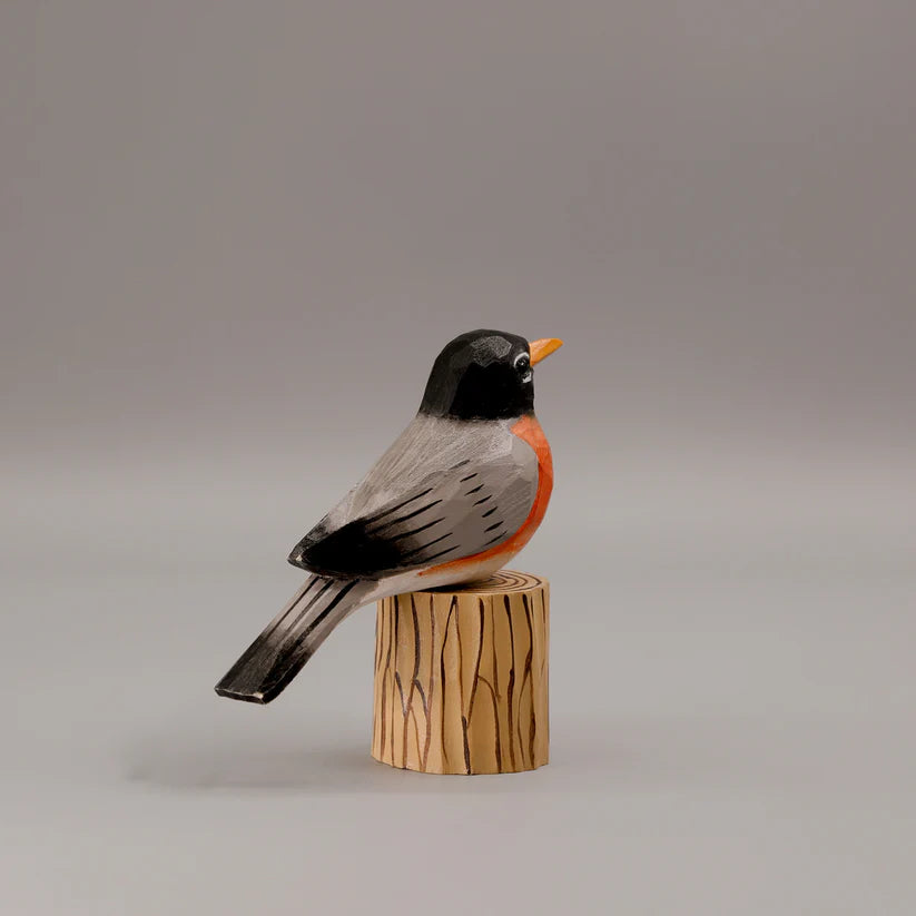 American Robin+ Stand