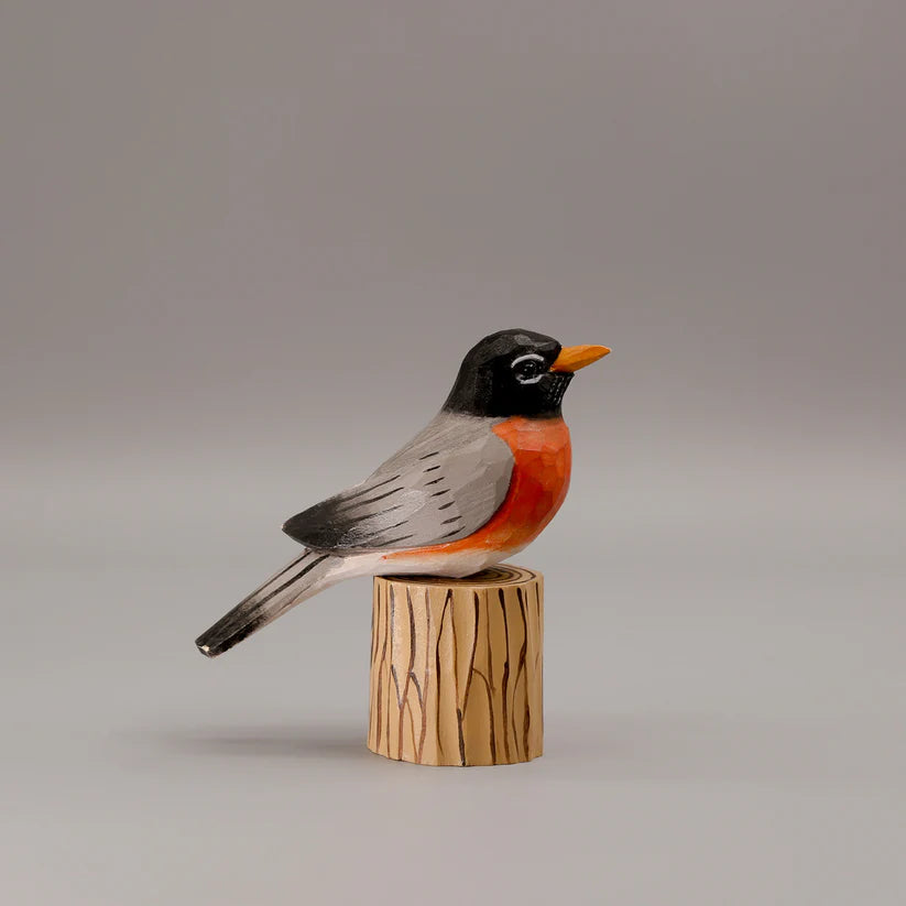 American Robin+ Stand