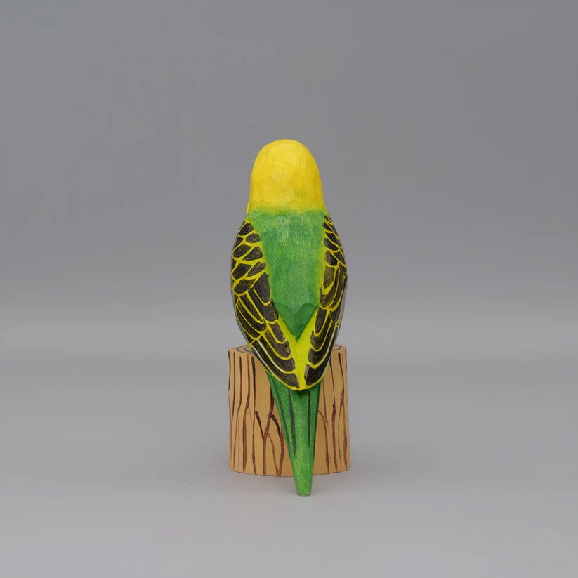 Budgerigar