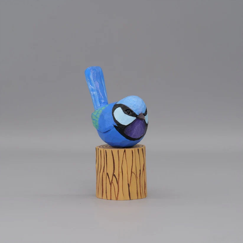Splendid Fairywren
