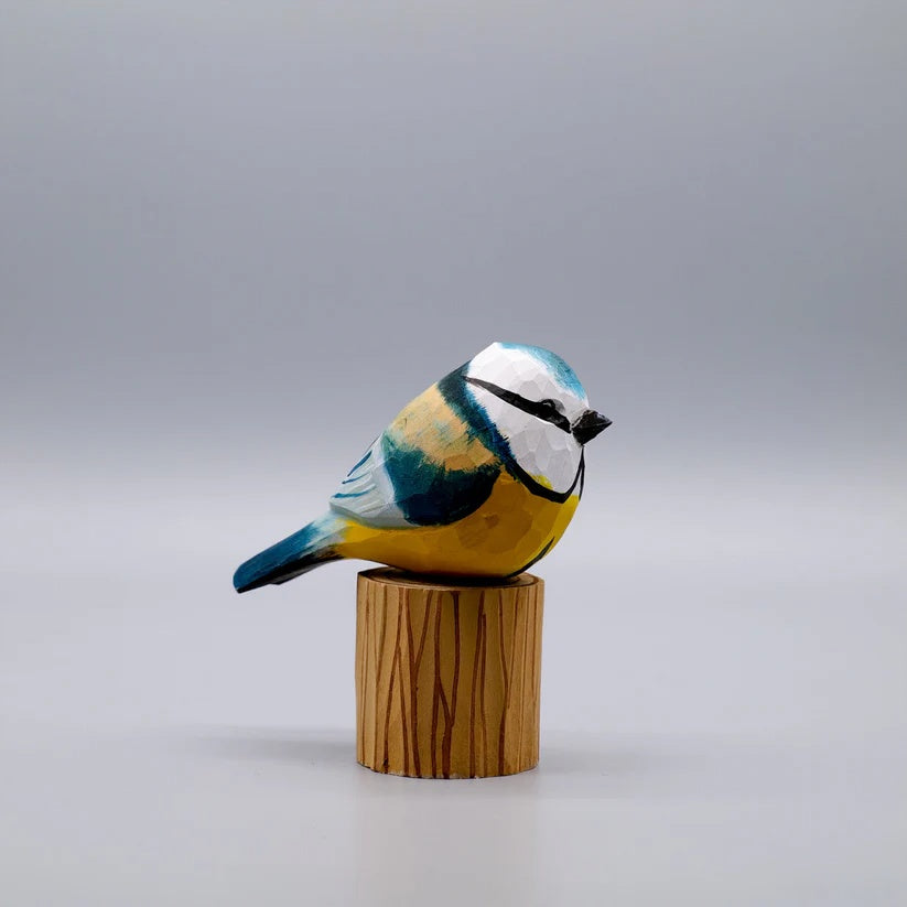 Blue Tit
