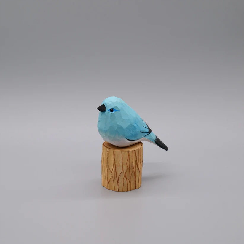 Mountain Bluebird
