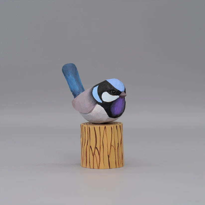 Superb Fairywren