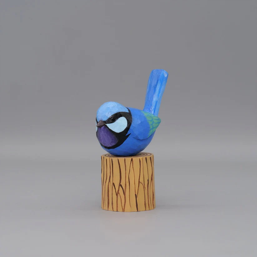 Splendid Fairywren