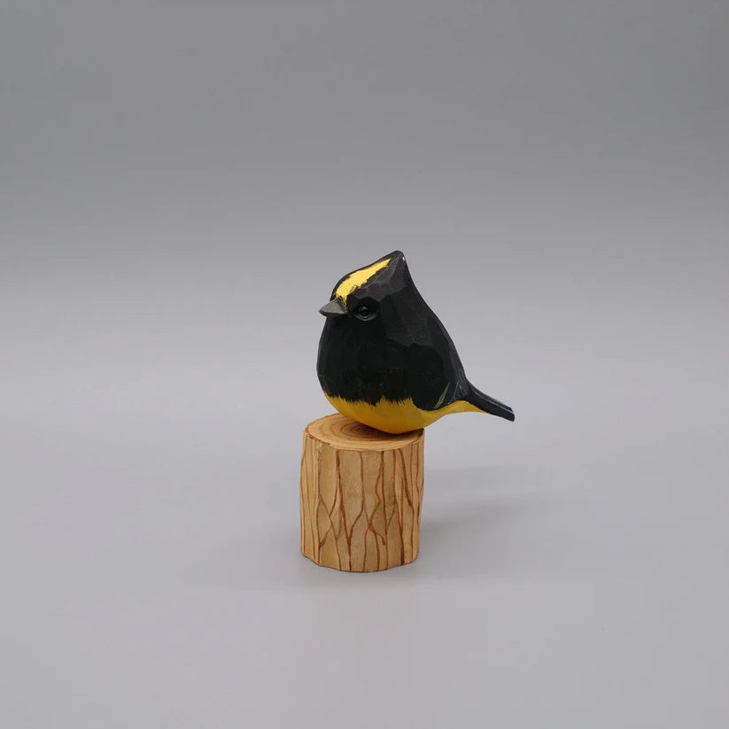Sultan Tit