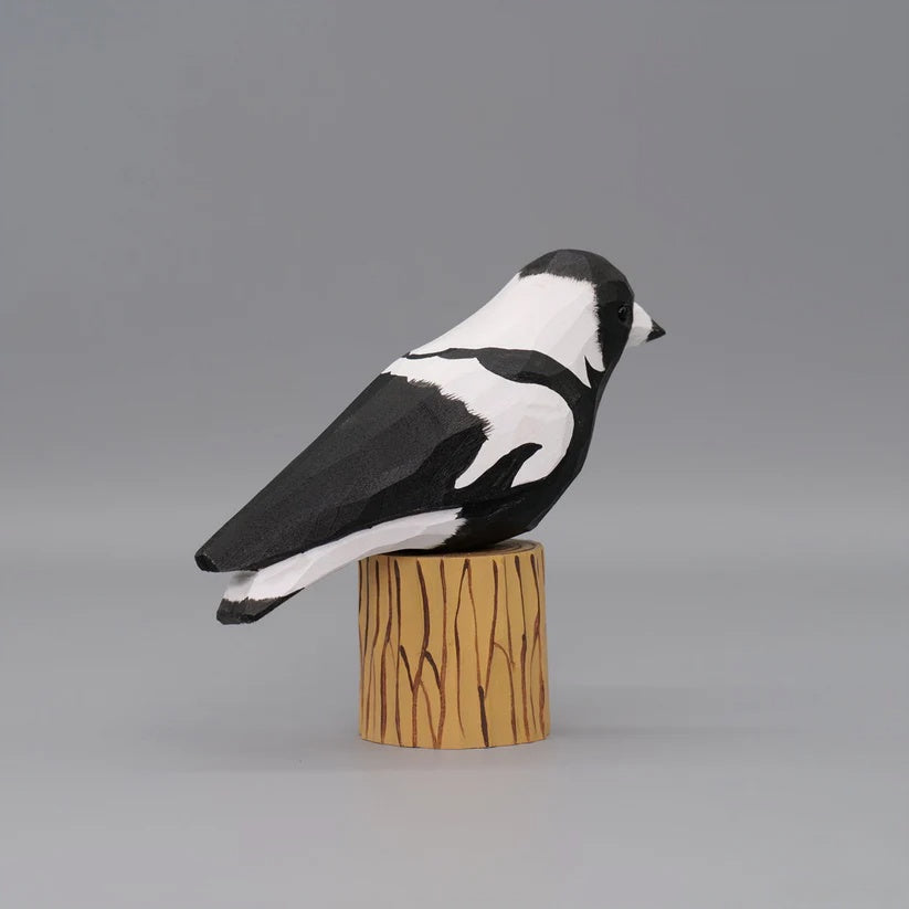 Australian Magpie+ Stand