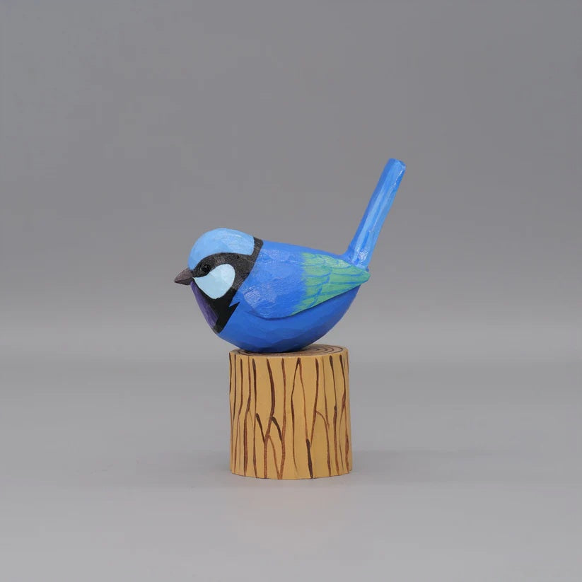 Splendid Fairywren