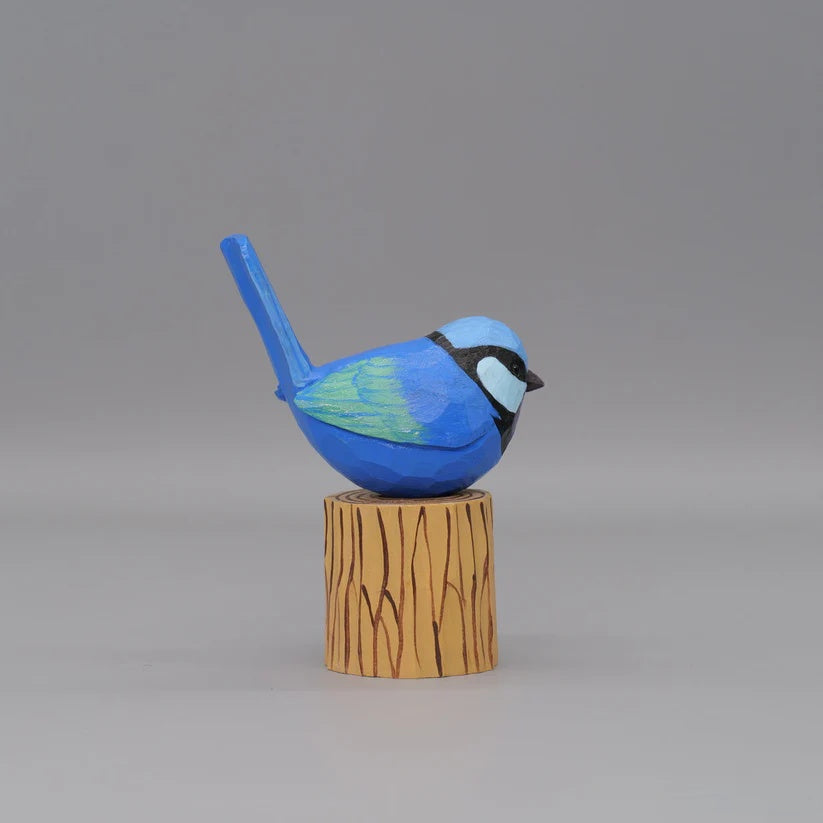Splendid Fairywren