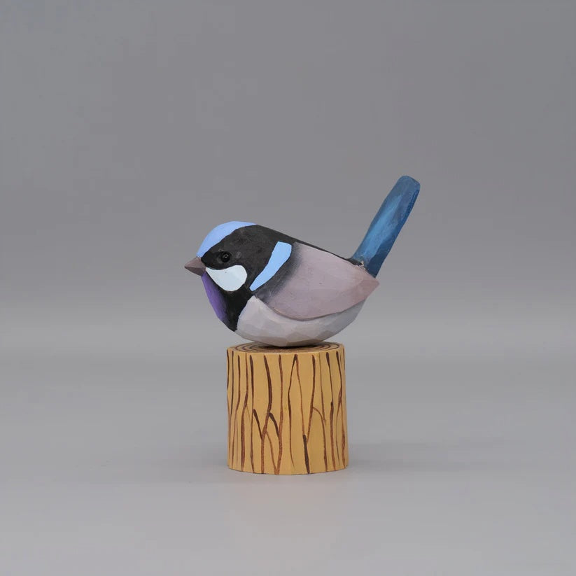 Superb Fairywren