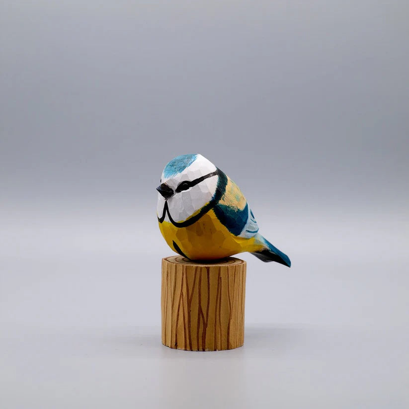 Blue Tit