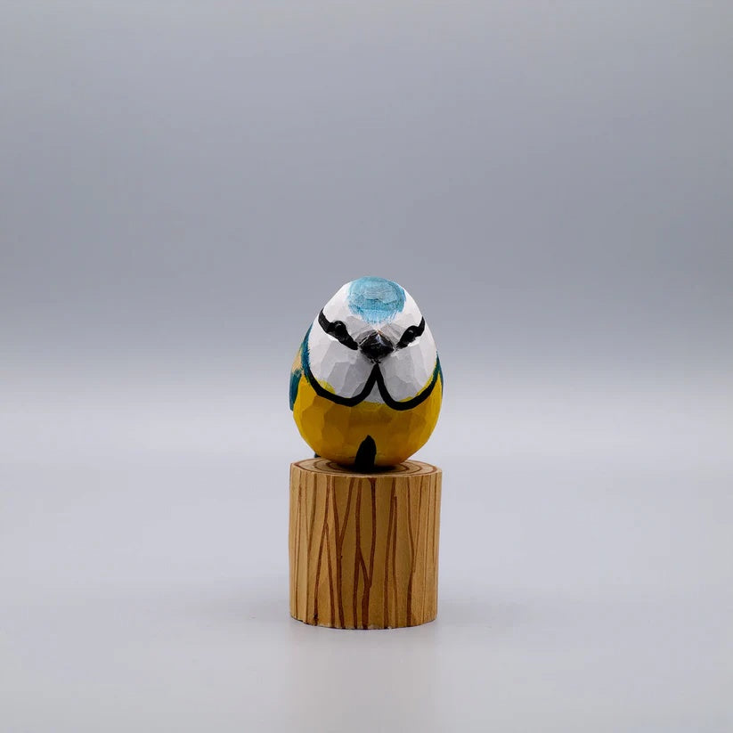 Blue Tit