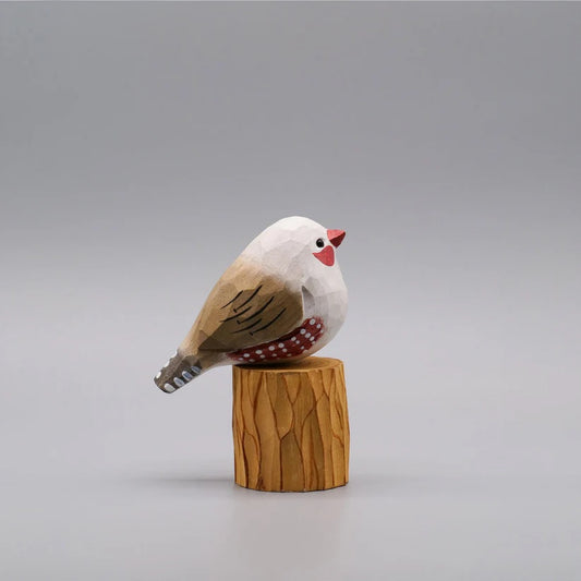 White Zebra Finch
