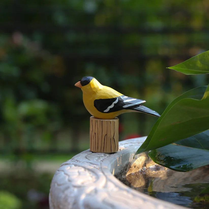 American Goldfinch+ Stand