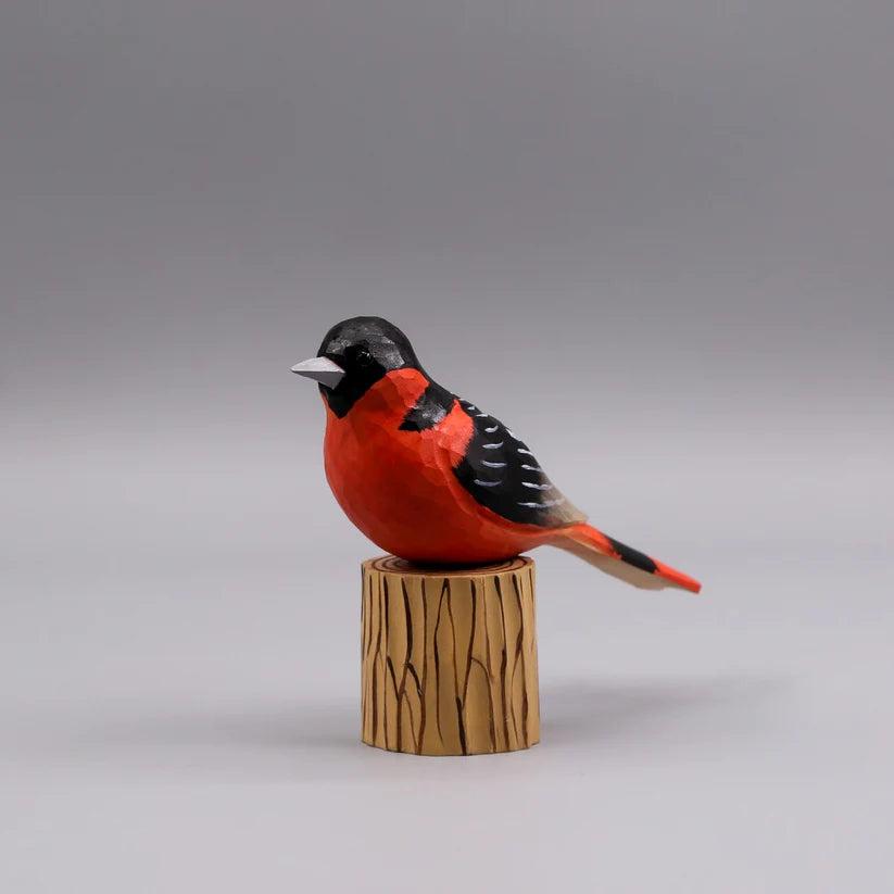 Baltimore Oriole+ Stand