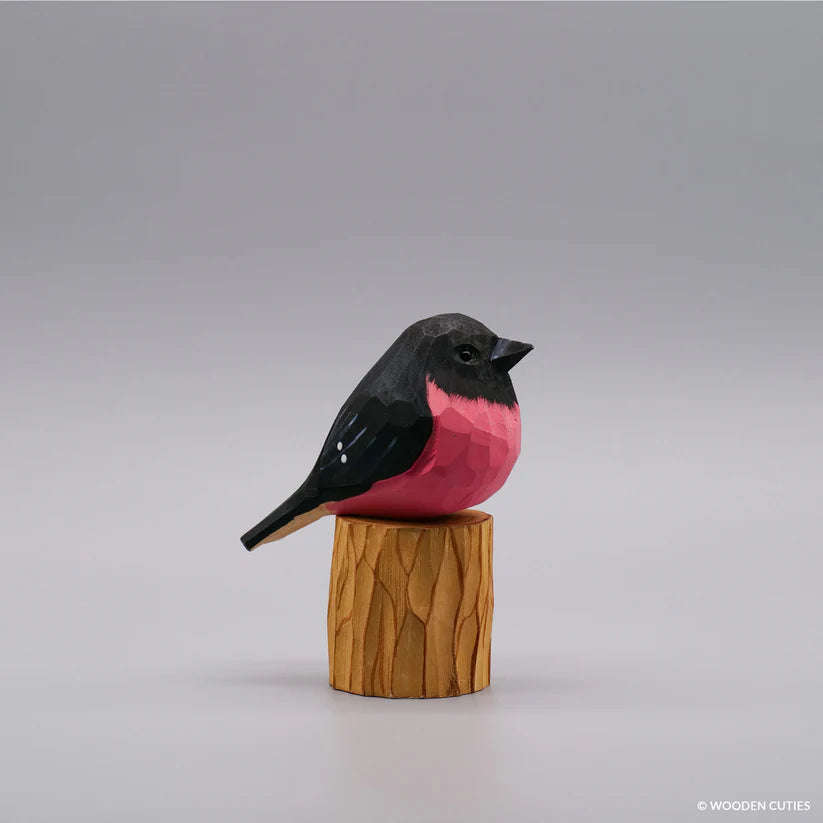 Pink Robin