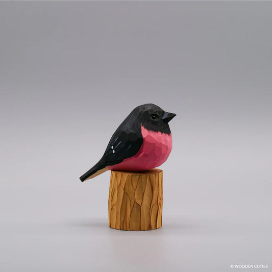 Pink Robin